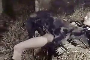 Meninas se masturbando antes de uma cena foda de sexo em grupo de três pessoas - pig,zoo porn