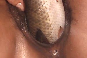 women and animals,latinas