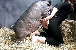 porno with animals,gape